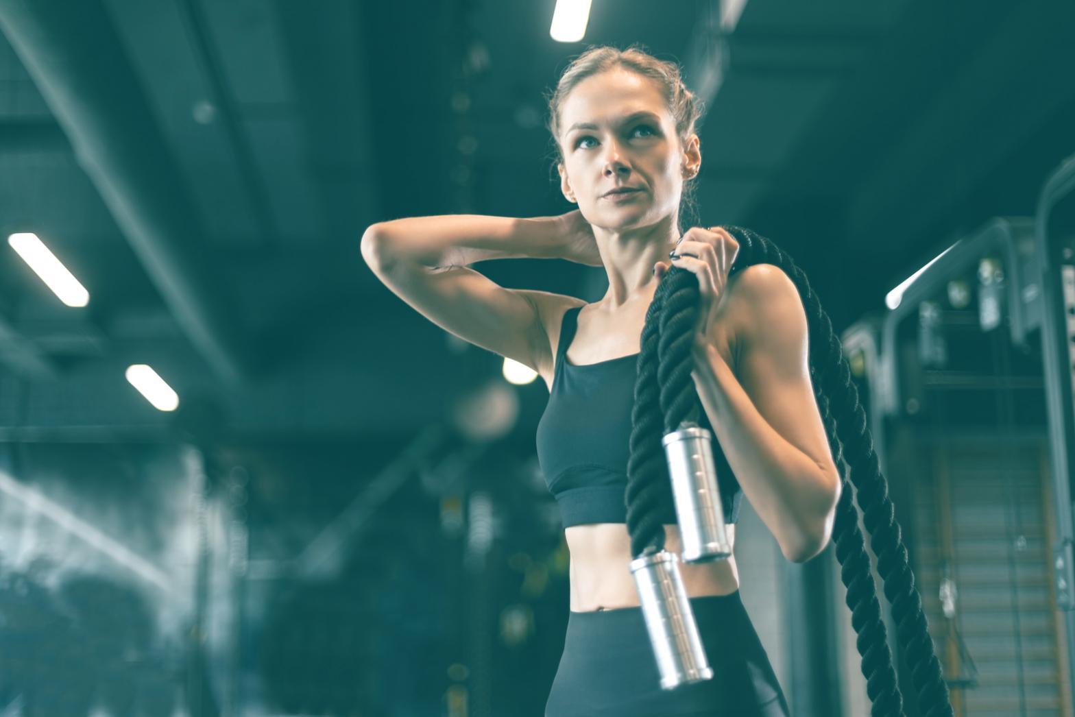 Materiales de estudio organizados para sesiones productivas